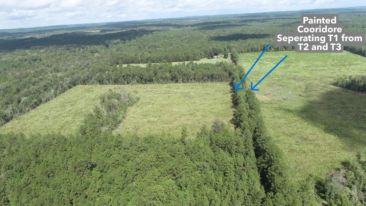 Farrsville Tract 1 - Jasper, Texas, 75951
