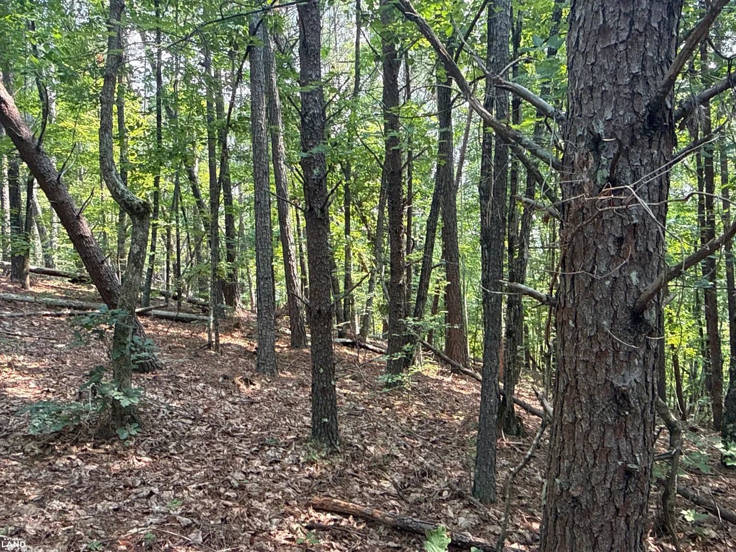 Union Mills Build Site - Union Mills, North Carolina, 28167