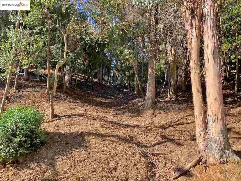 Vacant Land in Oakland