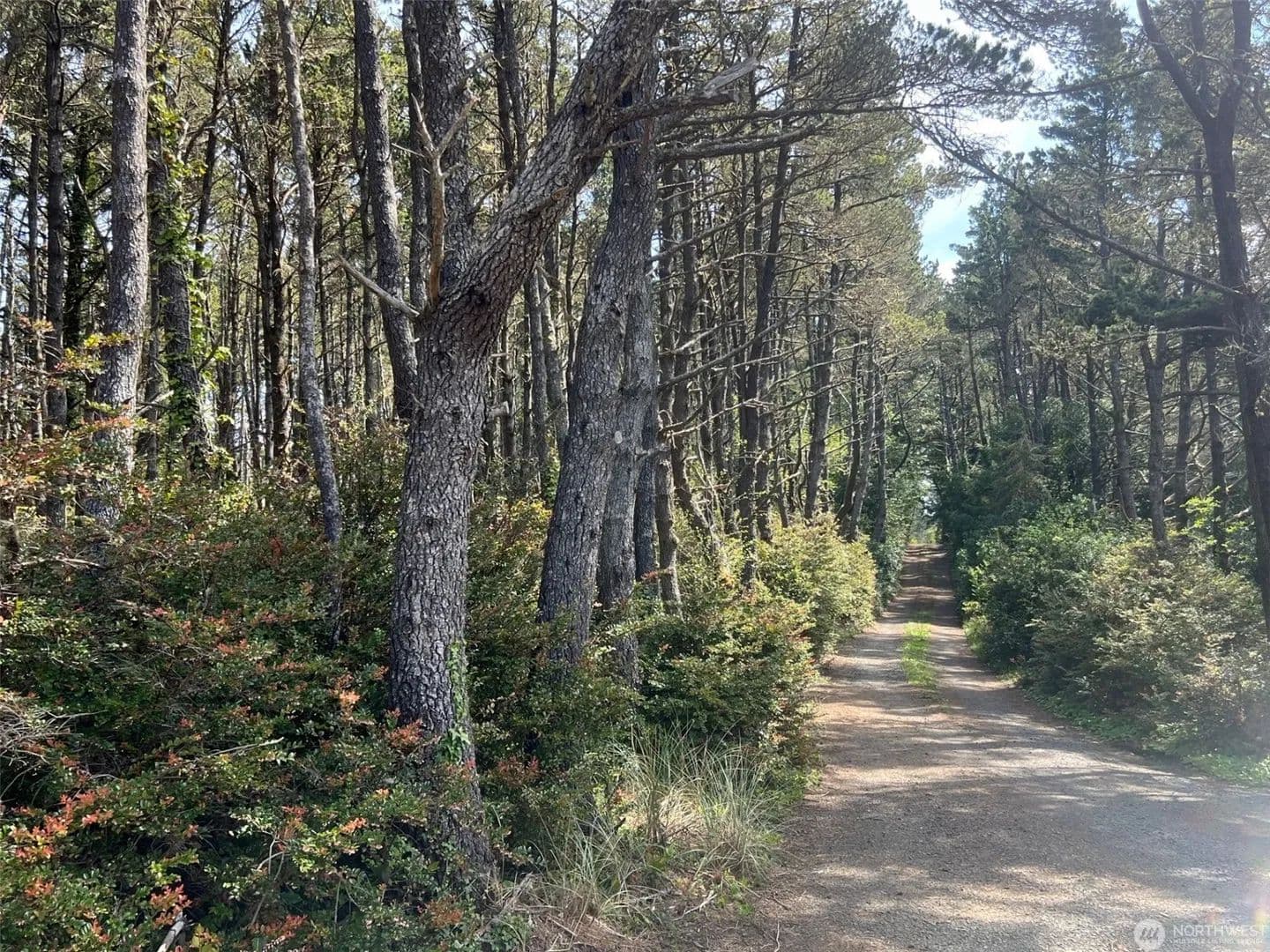 Vacant Land in Ocean Park - Ocean Park, Washington, 98640
