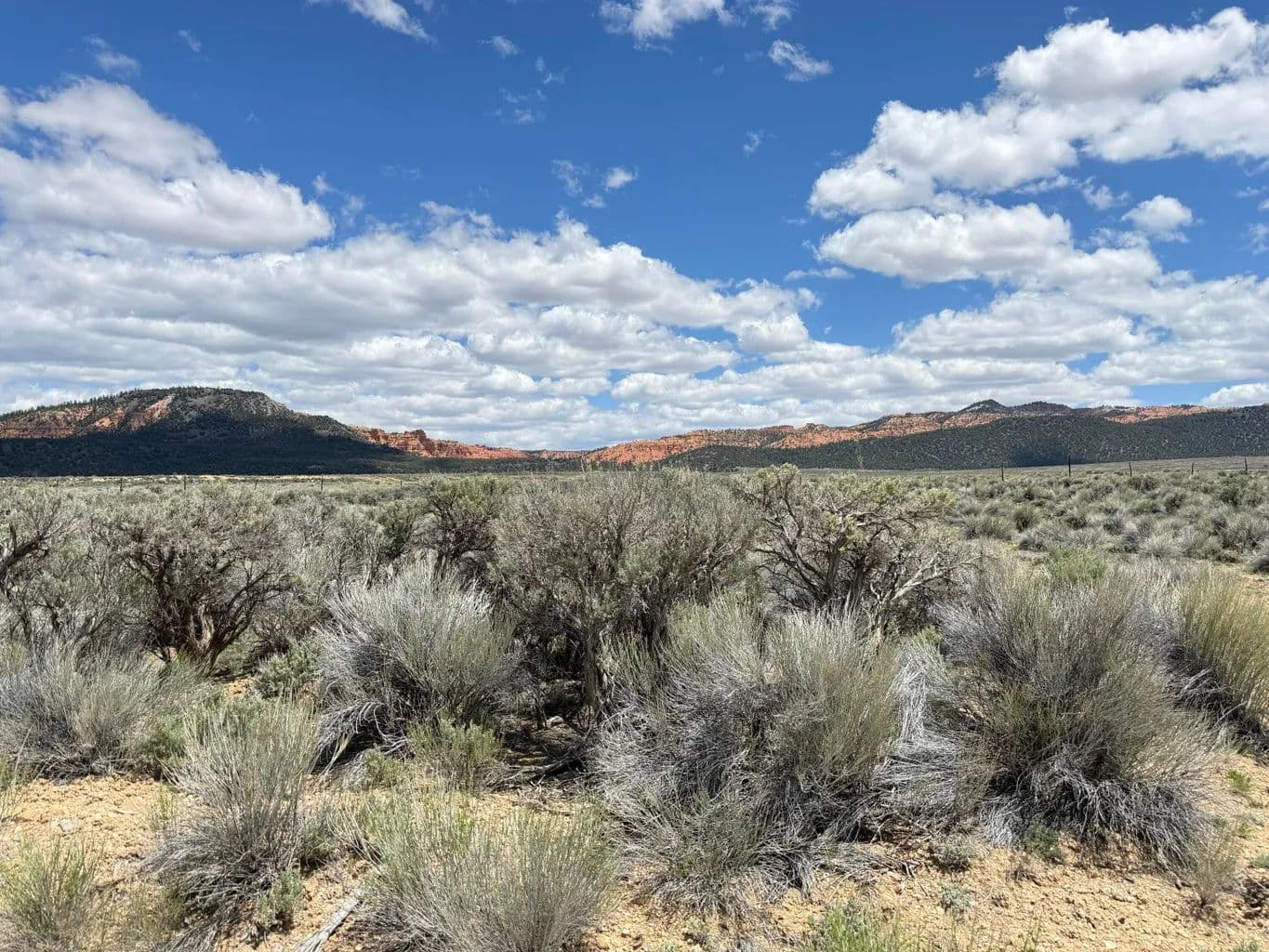 Lots & Land-Other in Panguitch - Panguitch, Utah, 84759