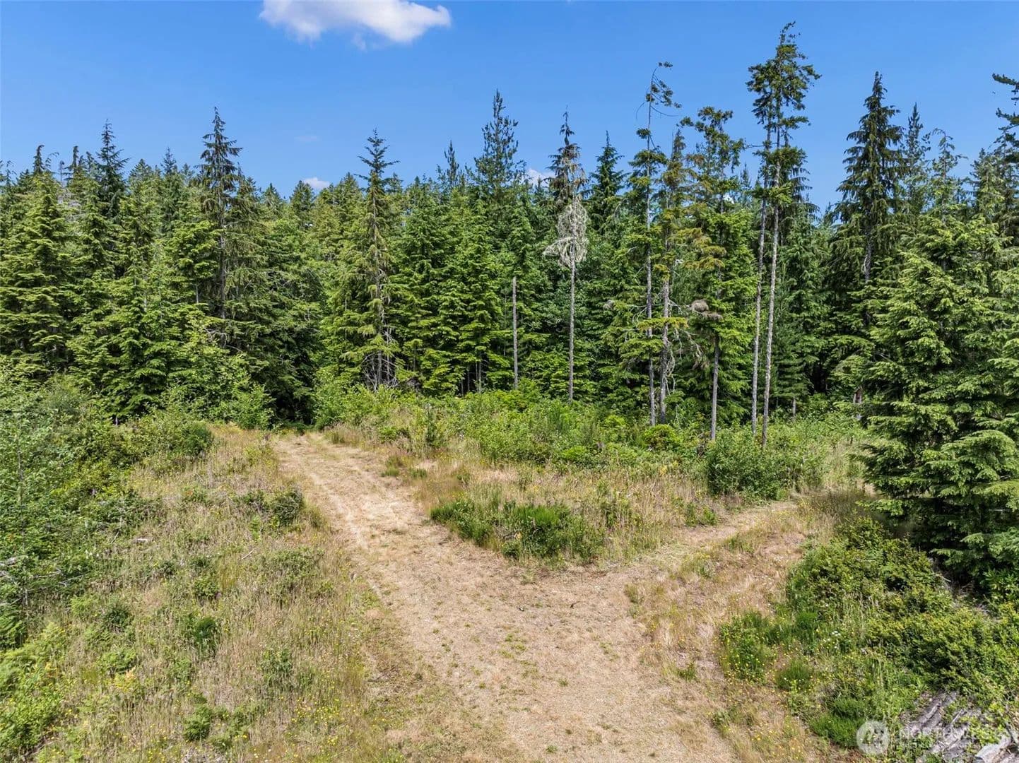 5 Acres of Land for Sale in Seabeck, WA - Seabeck, Washington, 98380
