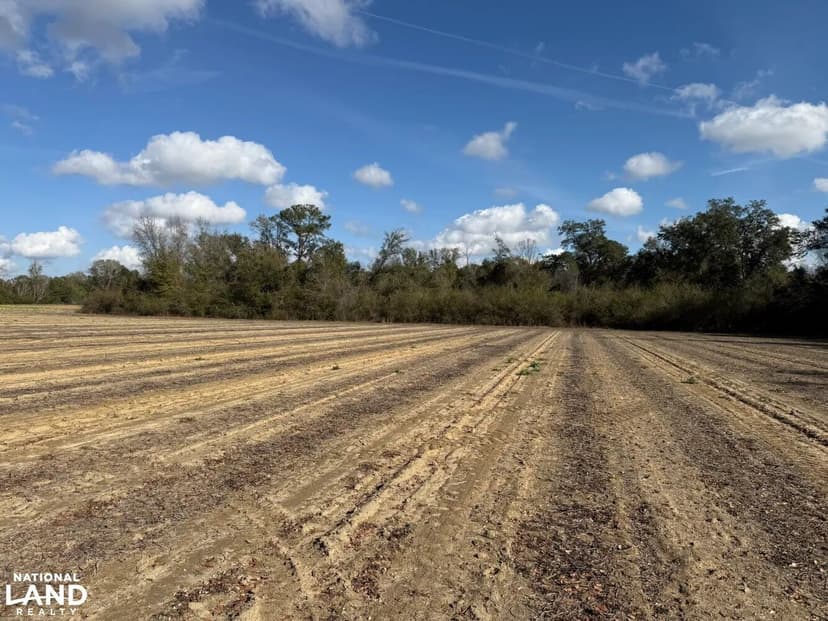 Houston County 39 Acres