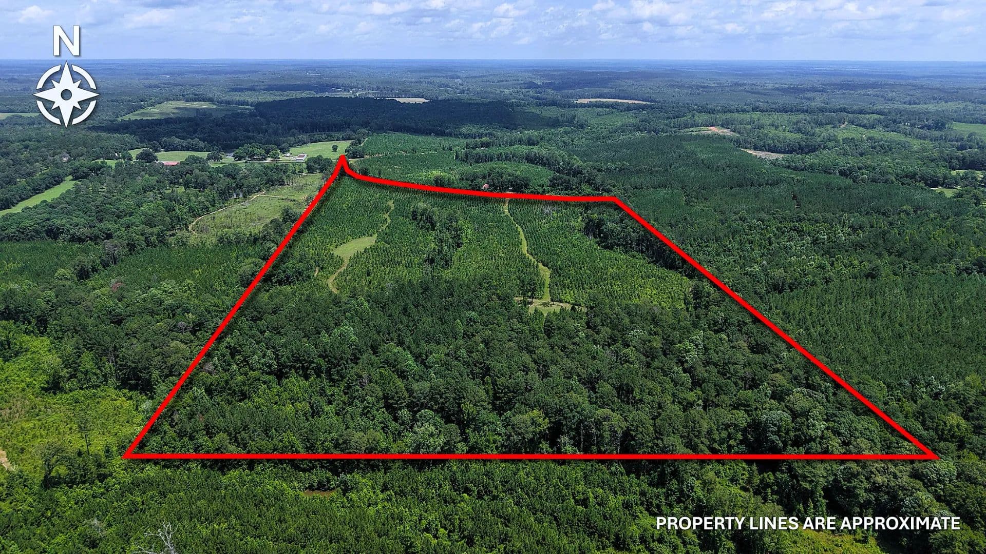 67.13 Acres in Bullock County, AL  - Banks, Alabama, 36005