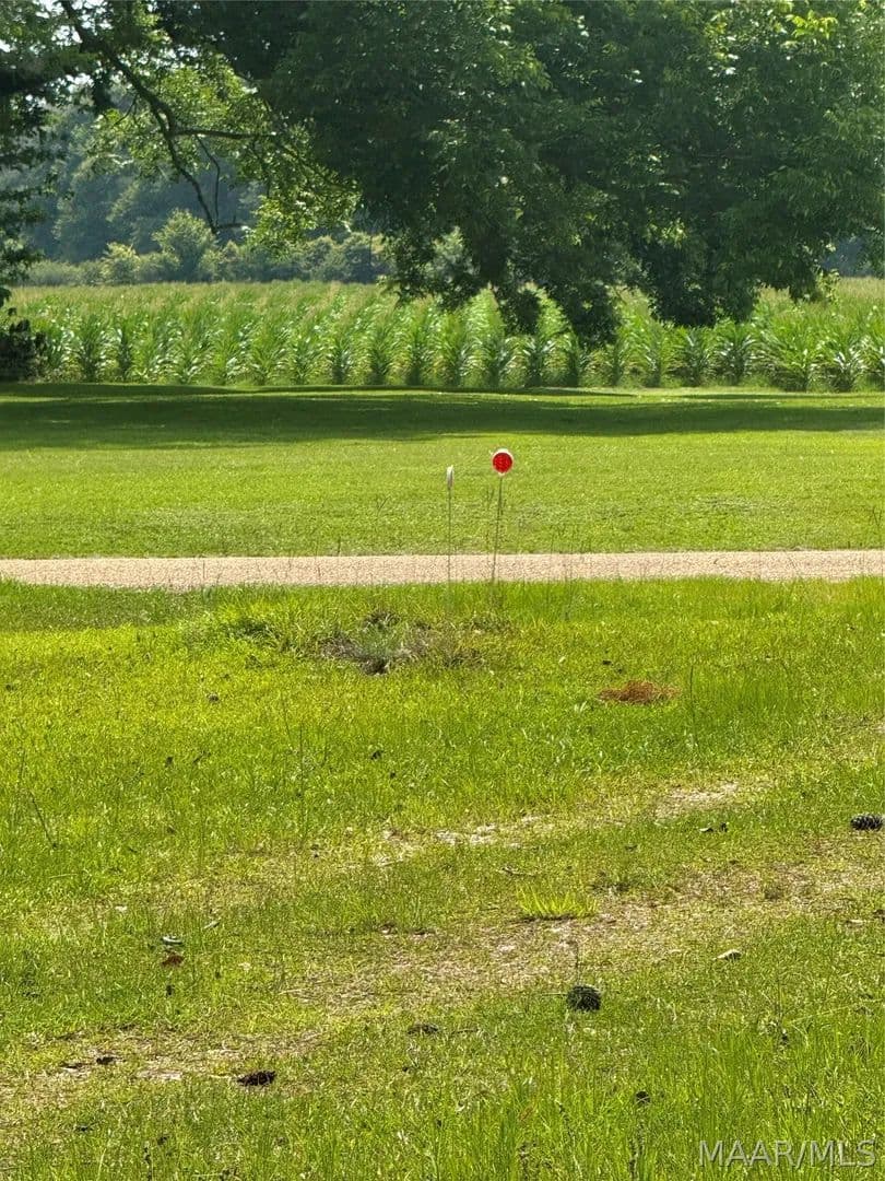 9.15 Acres of Land for Sale in Greenville, Alabama - land for sale
