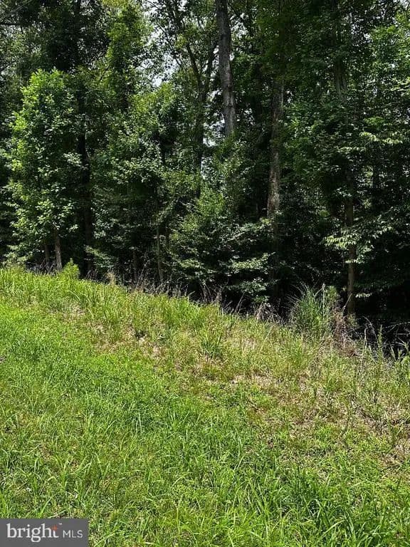 Land for Sale in MONTROSS, VA - Montross, Virginia, 22520