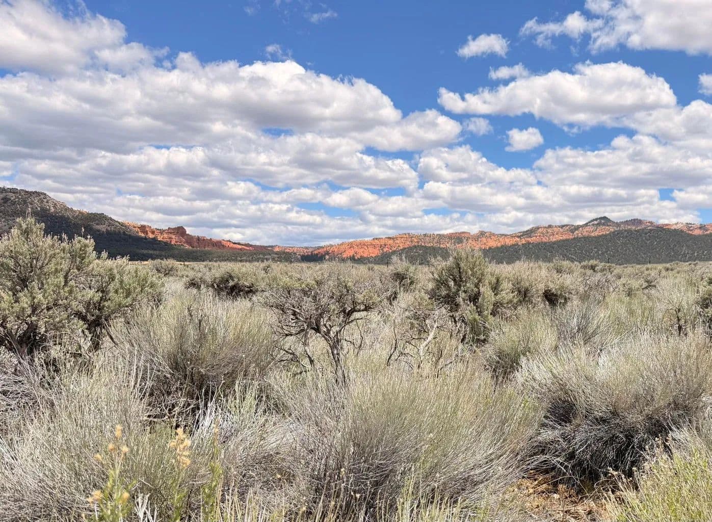 Lots & Land-Other in Panguitch - Panguitch, Utah, 84759