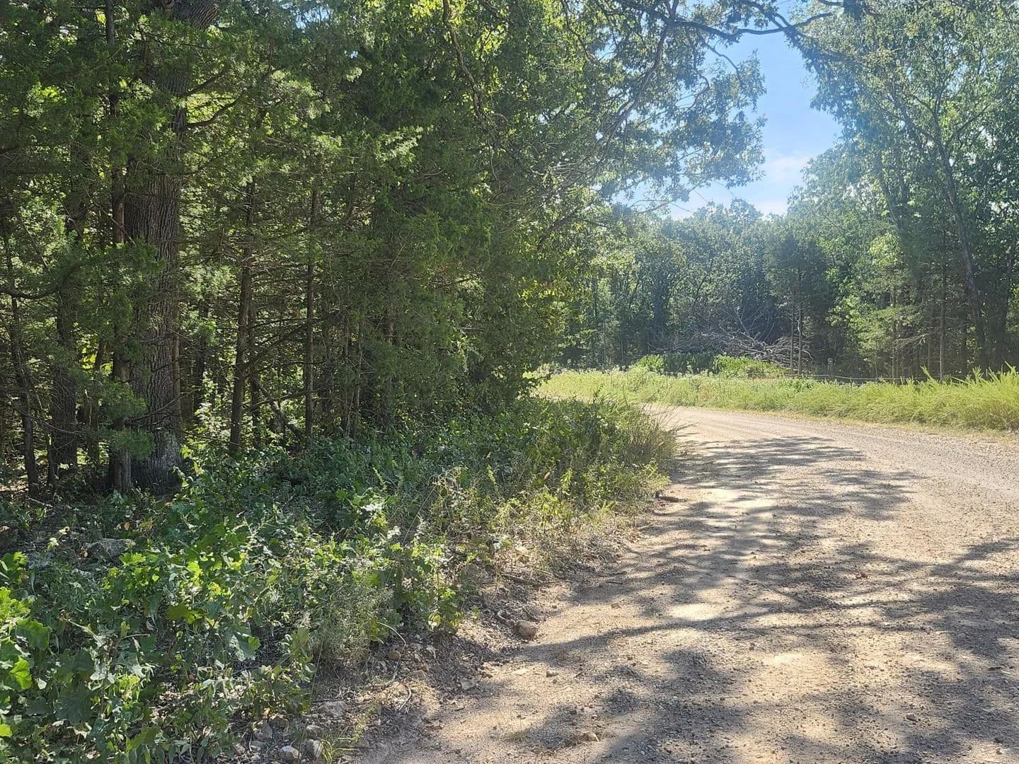 Lots & Land-Other in Flemington - Flemington, Missouri, 65650