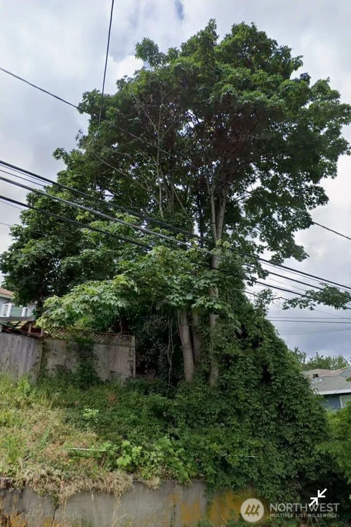Vacant Land in Seattle