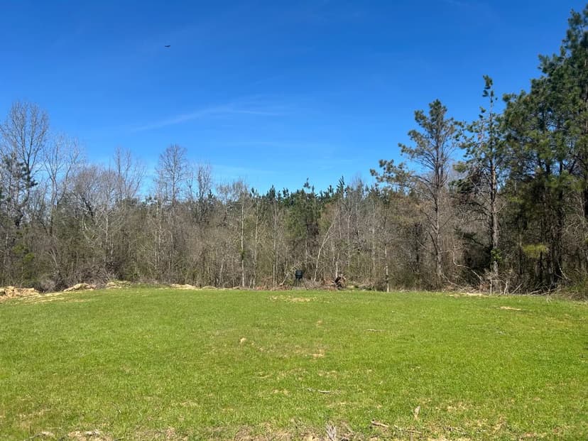 69.3 Acres in Pontotoc County, MS 