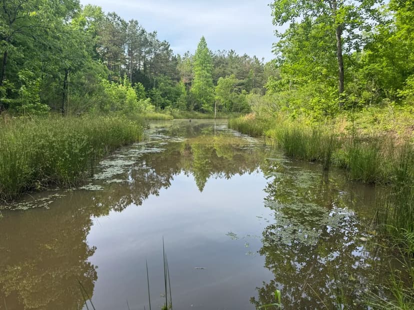 39 Acres in Calhoun County, MS 