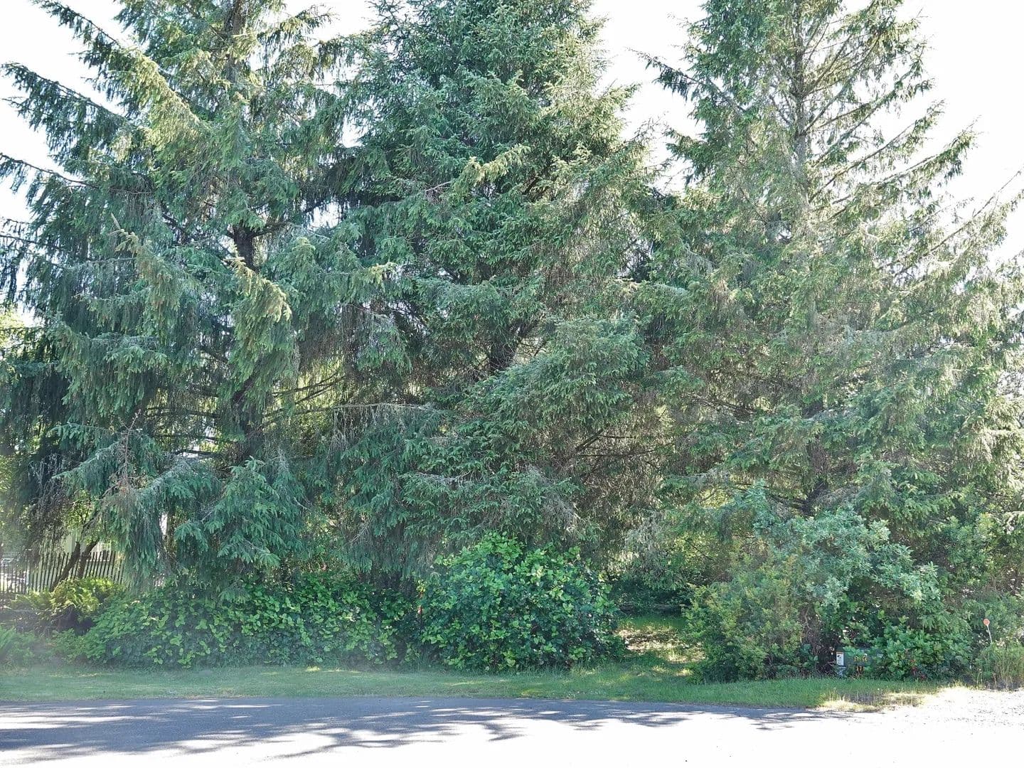 Vacant Land in Ocean Shores - Ocean Shores, Washington, 98569