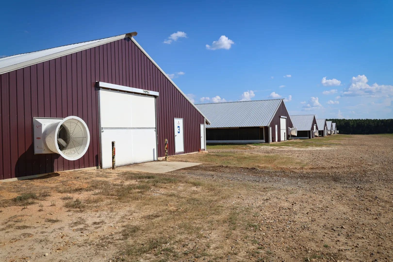 40 Acres Broiler Farm in Union Parish, LA  - Farmerville, Louisiana, 71241