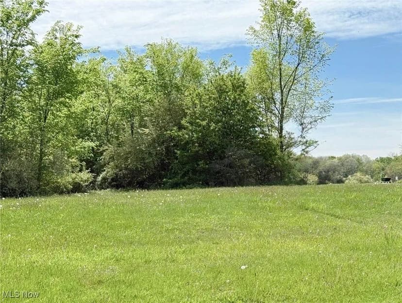 Lots & Land-Other in East Palestine