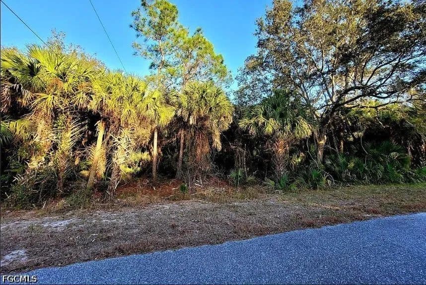 Vacant Land in Port Charlotte - Port Charlotte, Florida, 33948