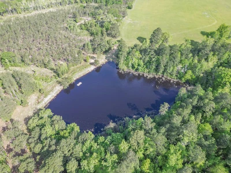 Twin Pine Ranch in Atlanta, Texas for Sale