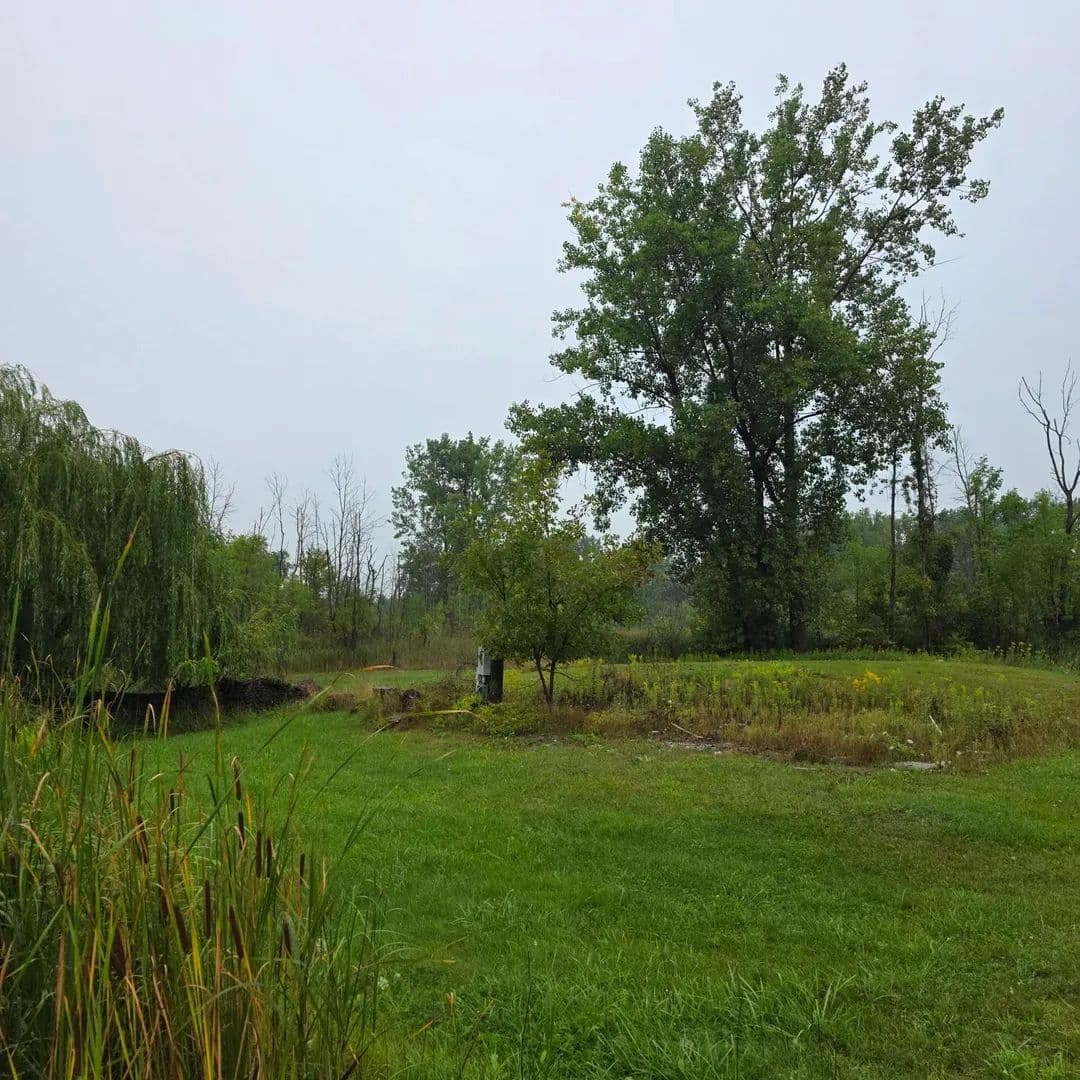 Vacant Land in Pinconning - Pinconning, Michigan, 48650