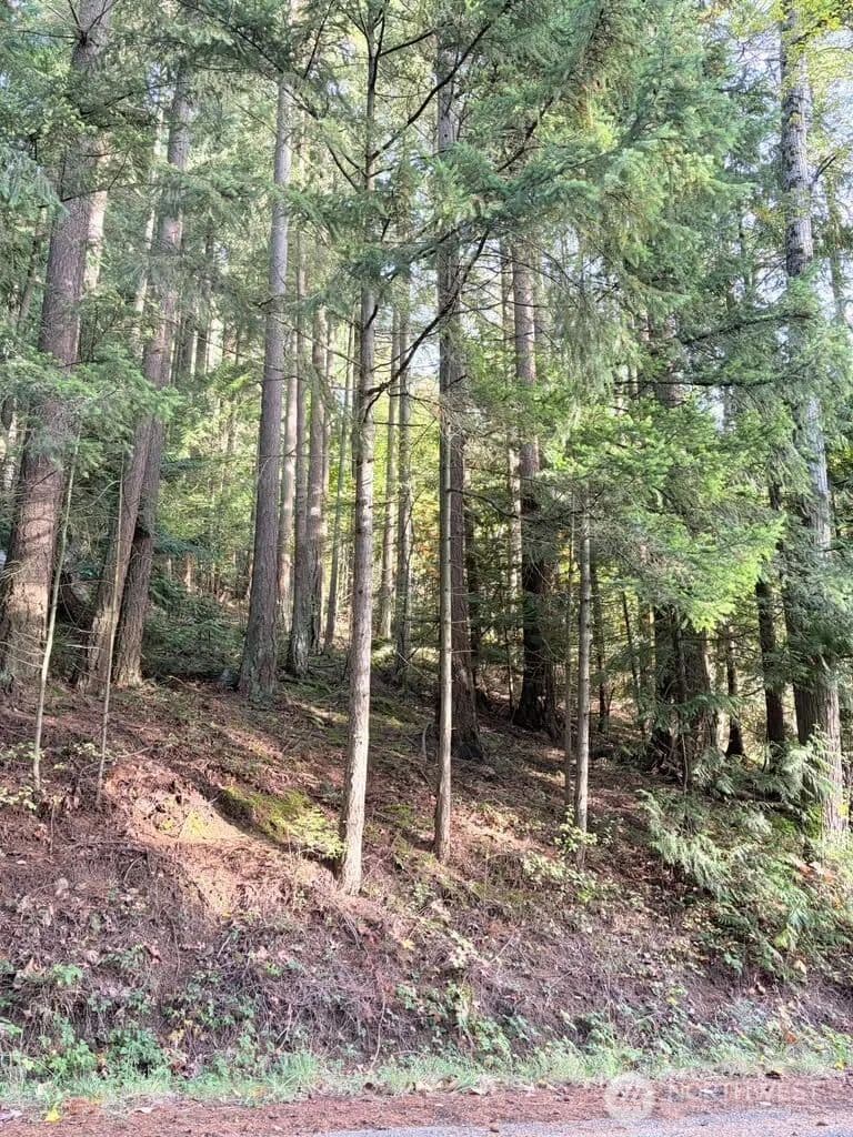 Vacant Land in Bellingham - Bellingham, Washington, 98226