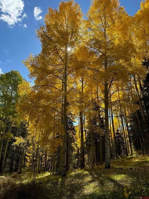 Lots & Land-Other in Rico