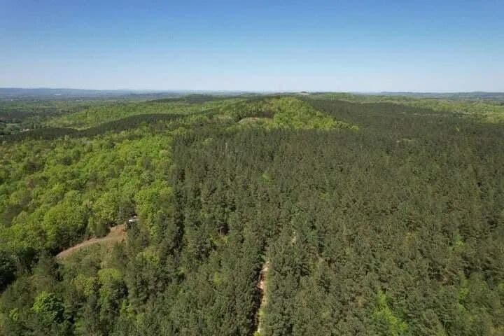 Property from 0 Colbaugh Hollow Road - KW - Decatur, Tennessee, 37322