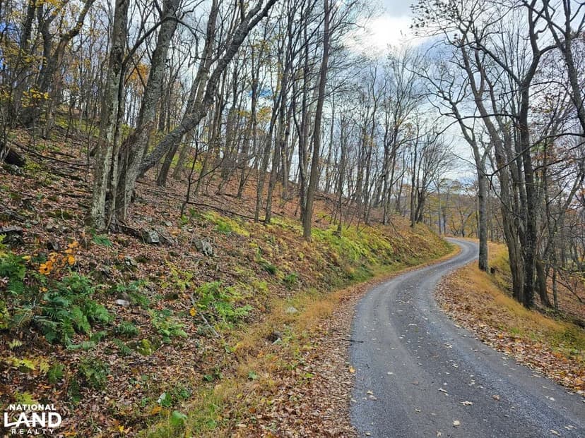10 Acres on Jack Mountain