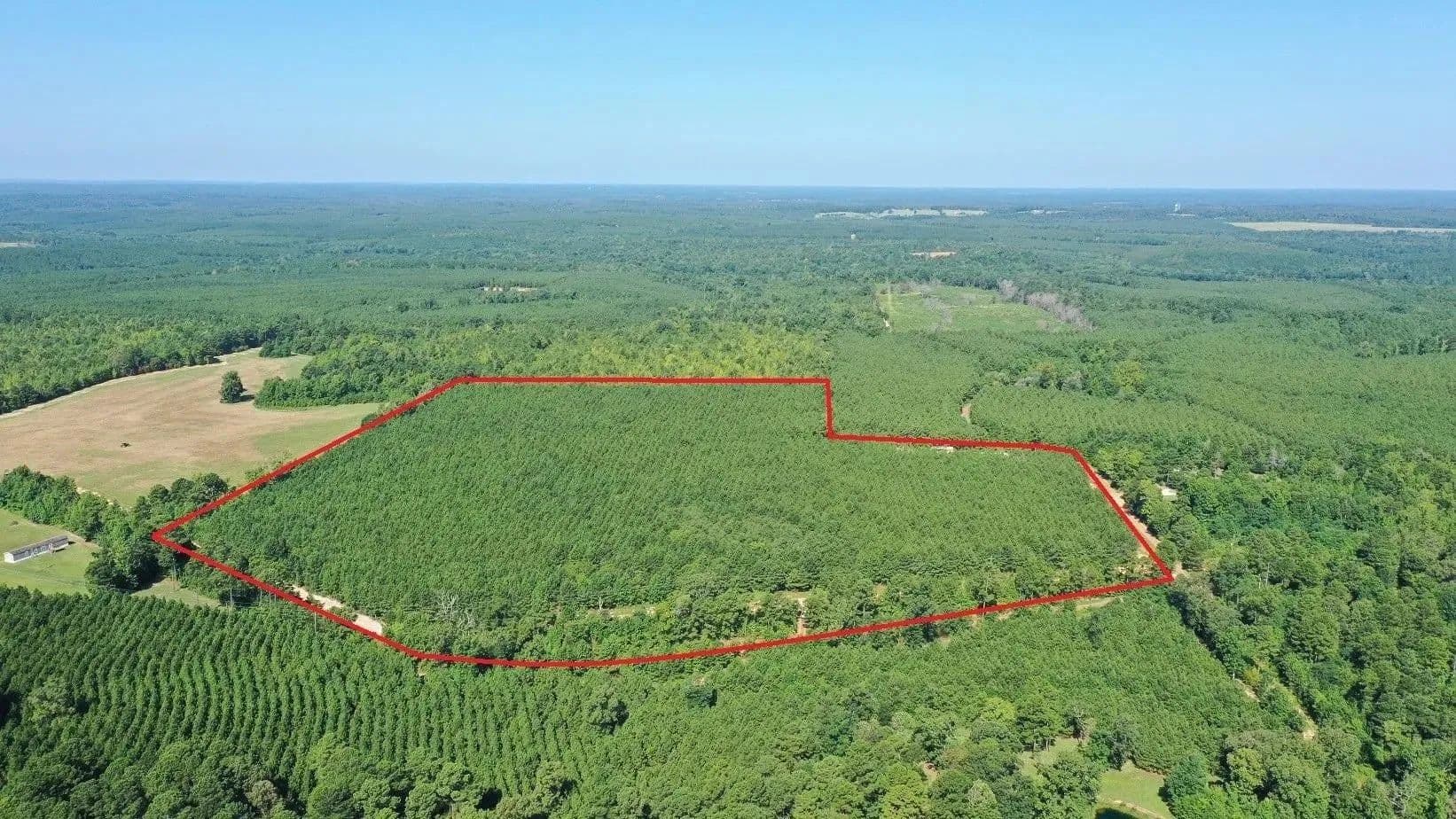 Lots & Land-Other in Linden - Linden, Texas, 75563