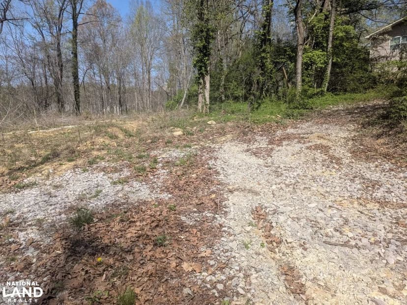 Wooded Acreage in Knoxville