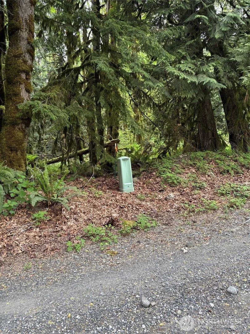 Vacant Land in Maple Falls - Maple Falls, Washington, 98266