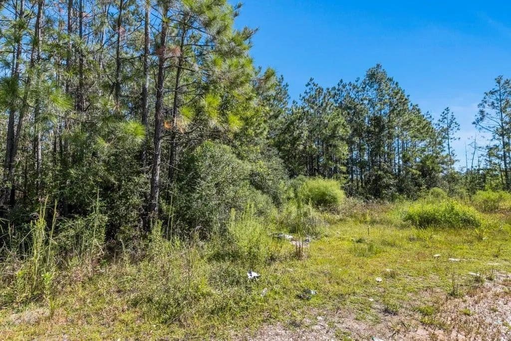Lots & Land-Other in DeQuincy - Dequincy, Louisiana, 70633