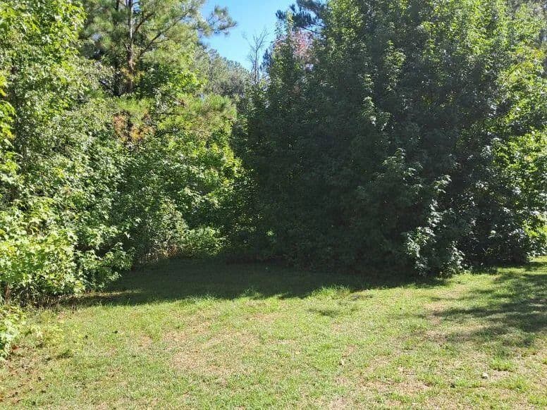 Lots & Land-Other in Lumberton - Lumberton, Mississippi, 39455