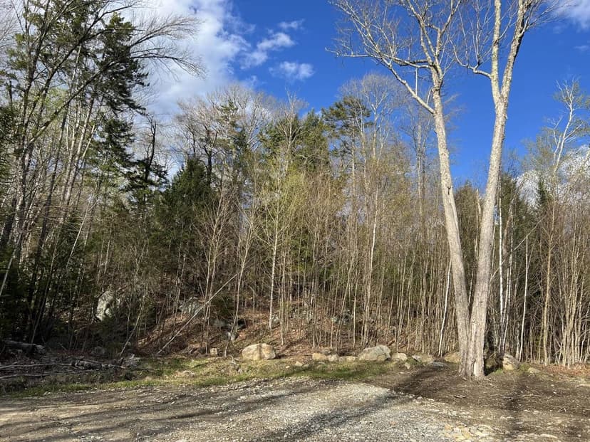Vacant Land in Wentworth