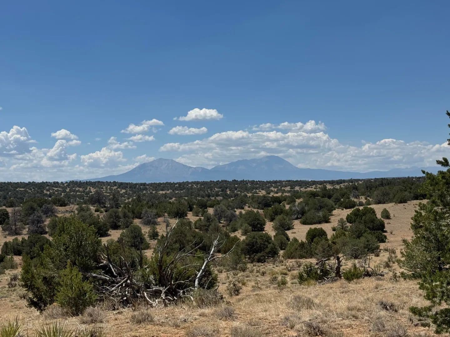  Lot F Twin Lakes Ranches, Walsenburg, CO 81089 - Walsenburg, Colorado, 81089