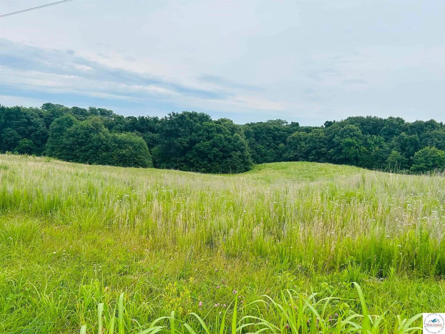 38 Acres of Land for Sale in Milan, MO - Milan, Missouri, 63556