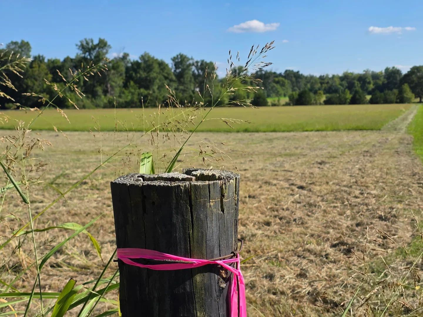 Land -Agricultural (Not Zoned) in Berea - Berea, Kentucky, 40403