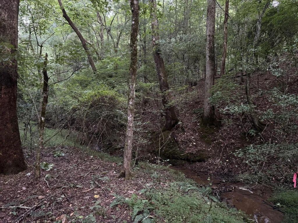 Lots & Land-Other in Hayesville - Hayesville, North Carolina, 28904