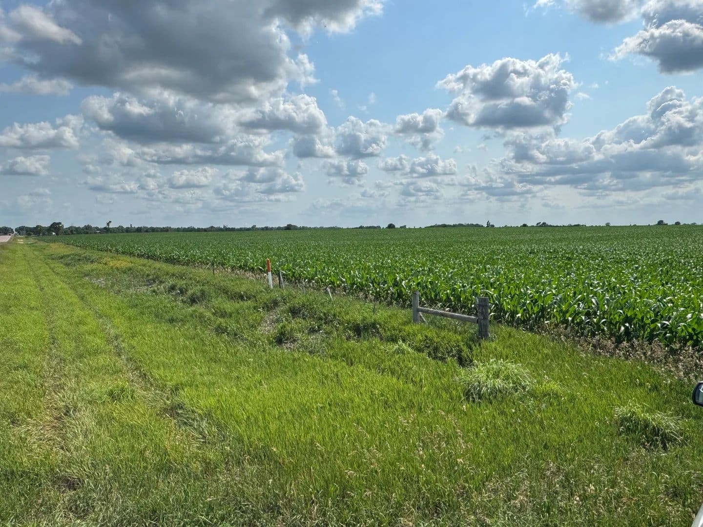 Vacant Land (10+ Acres) in Scotland - Scotland, South Dakota, 57059