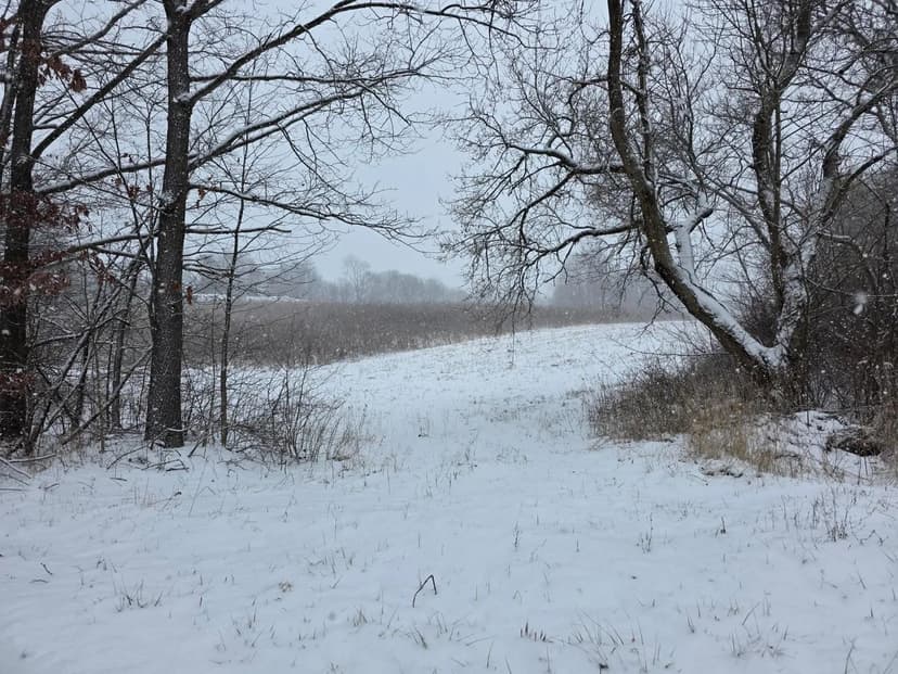 Lots & Land-Other in Bellville