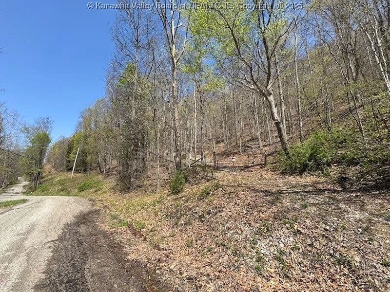 Lots & Land-Other in Elkview
