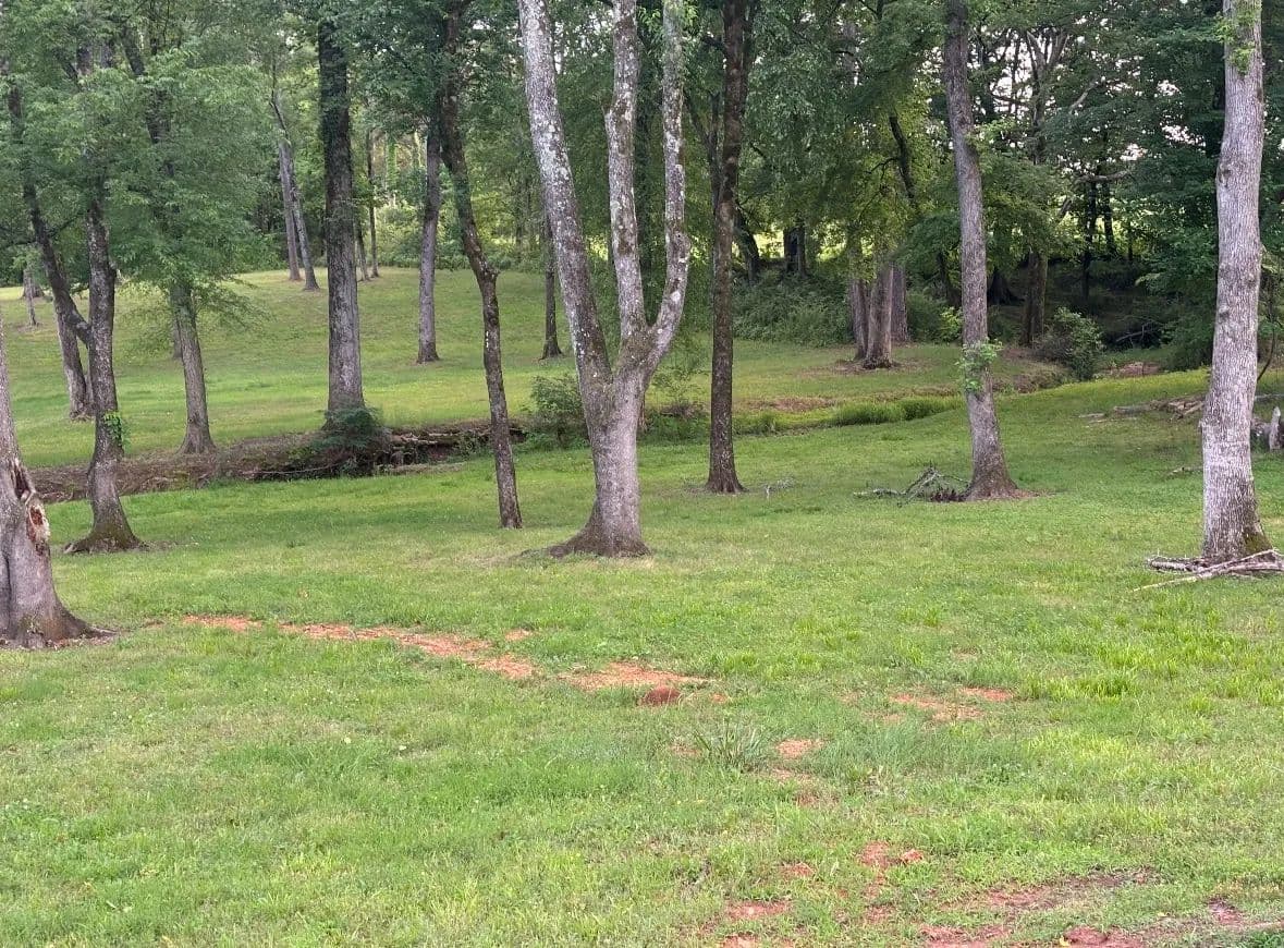 Vacant Land in Florence - Florence, Alabama, 35634