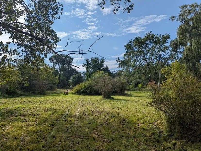 Lots & Land-Other in Westport