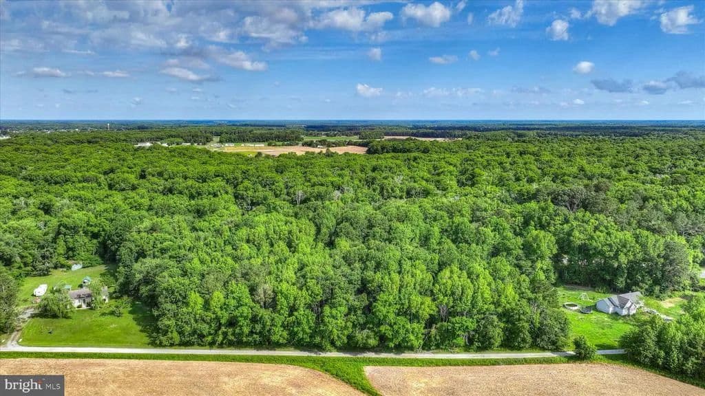 8.64 Acres of Land for Sale in Whaleyville, Maryland - Whaleyville, Maryland, 21872