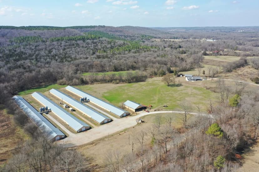 Rae Mountain Broiler Farm – Four House Farm Russellville, Alabama