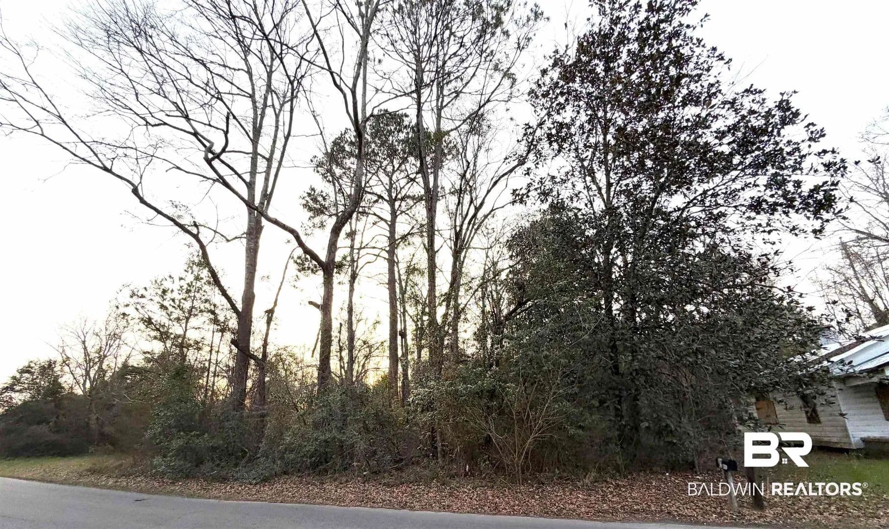 Vacant Land in Brewton - land for sale