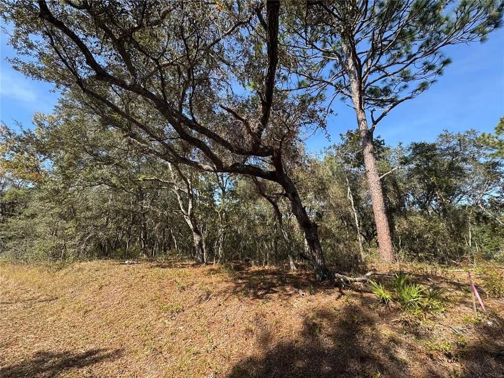 Vacant Land in Ocklawaha - Ocklawaha, Florida, 32179
