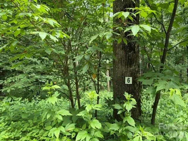 0.81 Acres of Land for Sale in Maggie Valley, NC - Maggie Valley, North Carolina, 28751