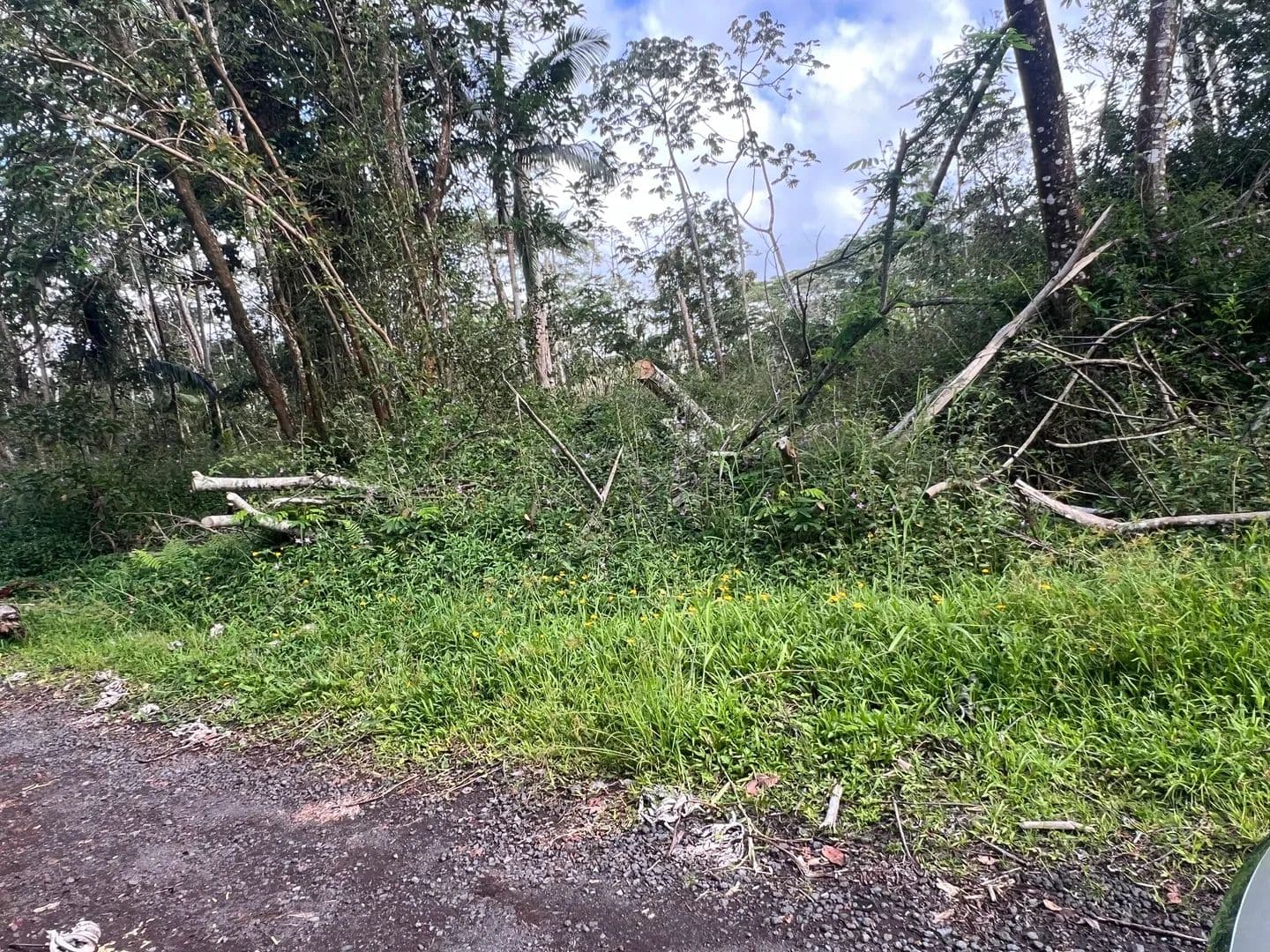 Vacant Land in Pahoa - Pahoa, Hawaii, 96778
