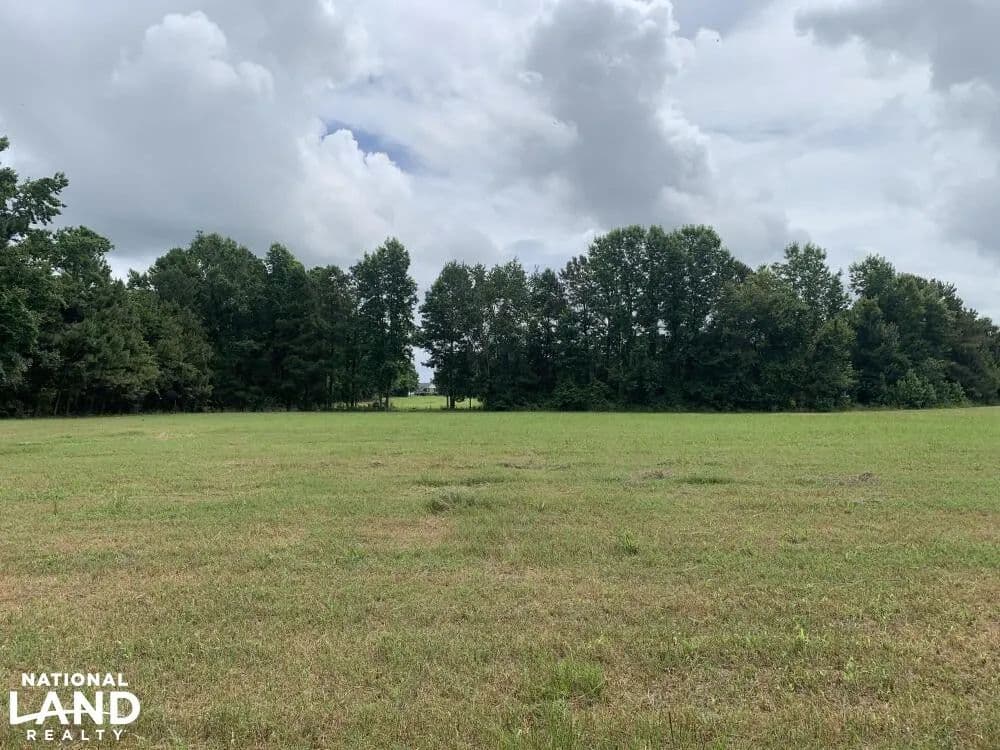 Raccoon Road Commercial and Investment Tract - Manning, South Carolina, 29102