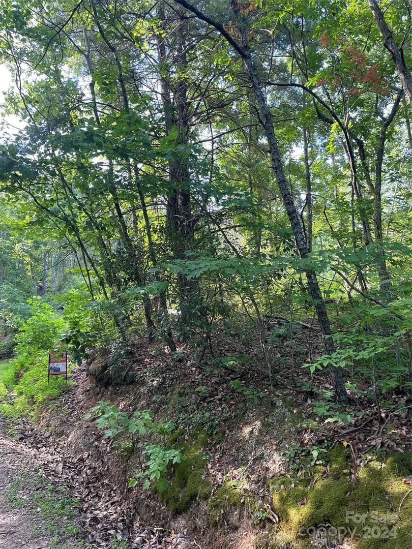 Property from 99999 High Top Mountain Road - KW