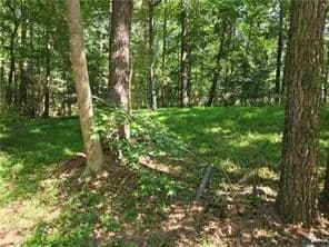 Land -Agricultural (Not Zoned) in Chesterfield - Chesterfield, Virginia, 23832