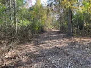 Commercial Acreage For Sale on Hwy 24 W Pike Co MS